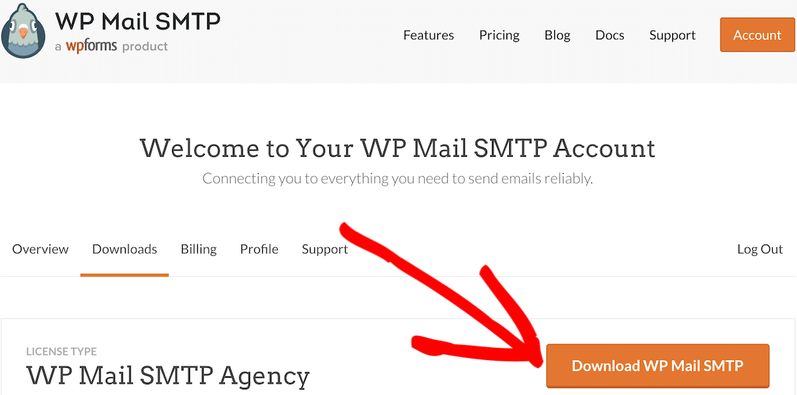 Téléchargez WP Mail SMTP à partir de la page Téléchargements de votre compte.