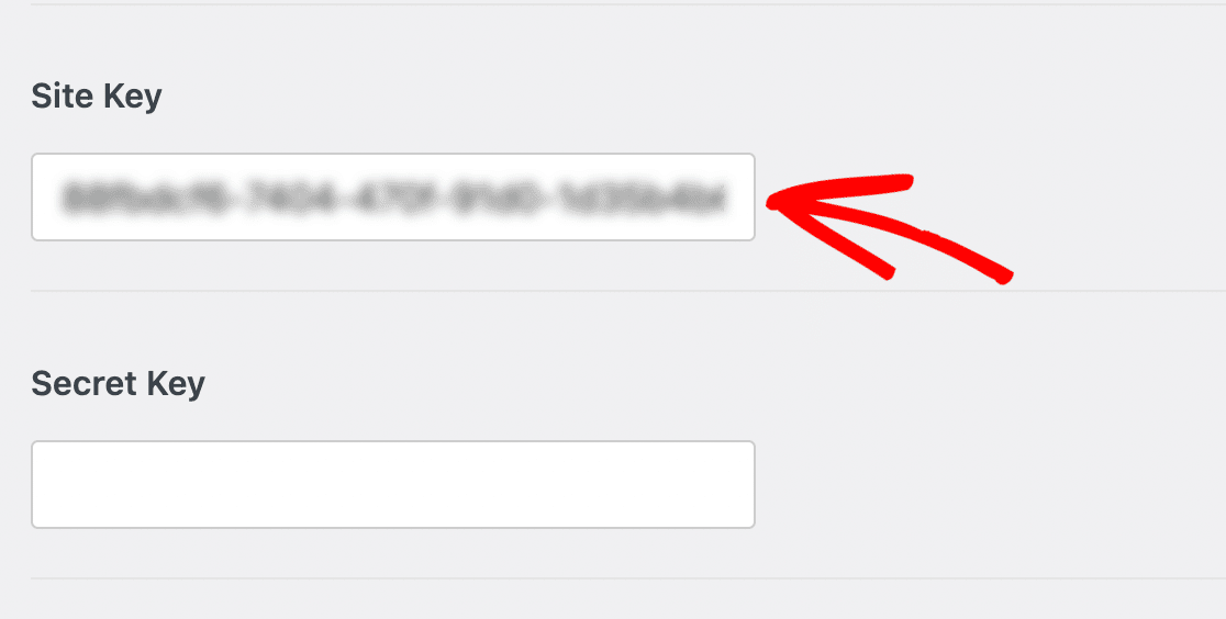 hCaptcha Website-Schlüssel