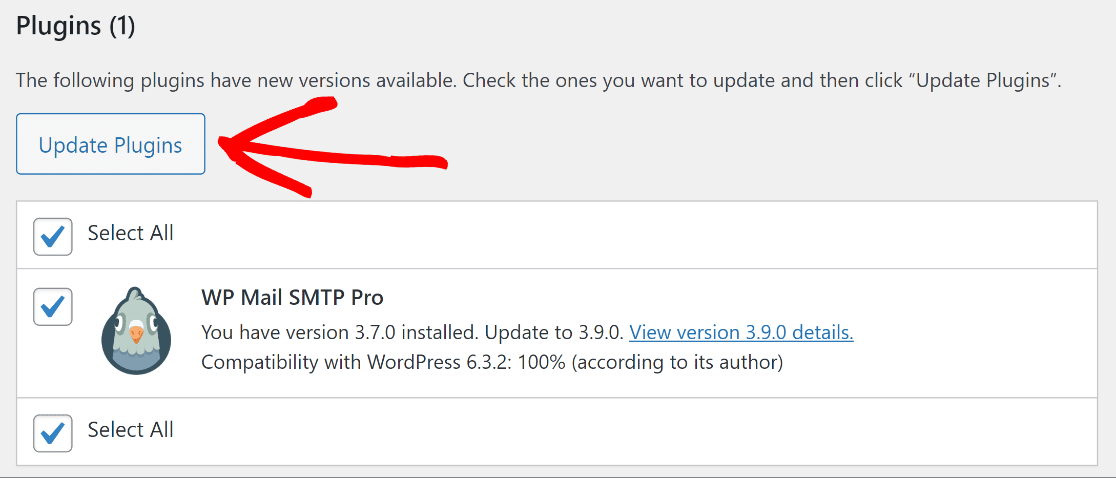 Actualizar WP Mail SMTP